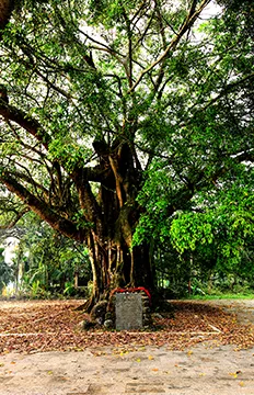 百里百村