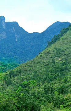 鹦哥岭森林旅游区