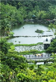 海南呀诺达雨林文化旅游区