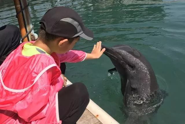 分界洲岛旅行故事｜原来，这里有诗和远方