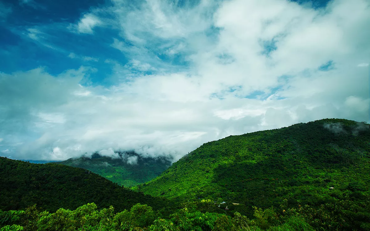海南呀诺达雨林文化旅游区雨林谷