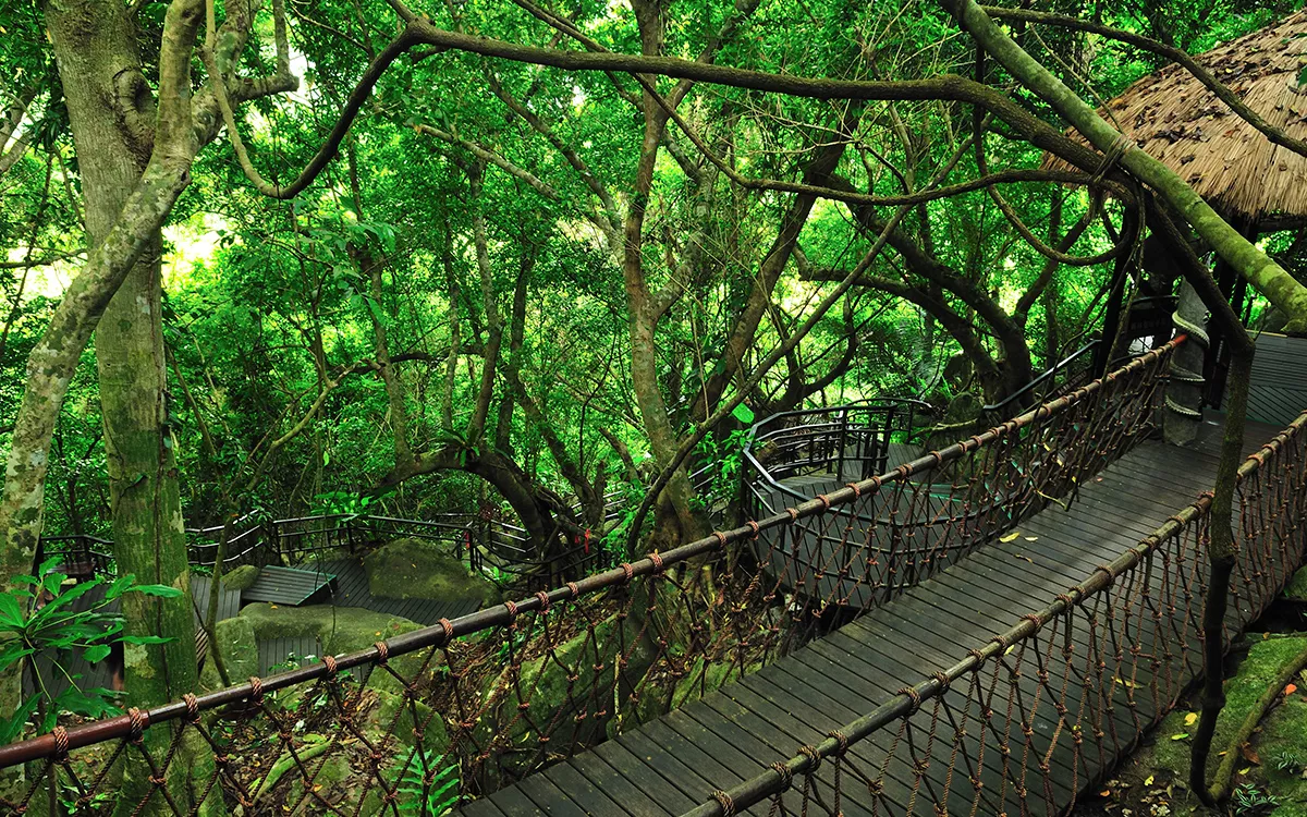 海南呀诺达雨林文化旅游区雨林谷