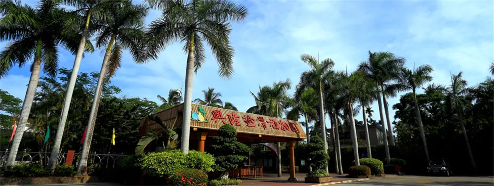 1482414667282080396.jpg 兴隆热带植物园