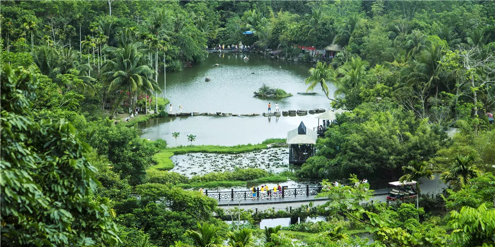 海南呀诺达雨林文化旅游区