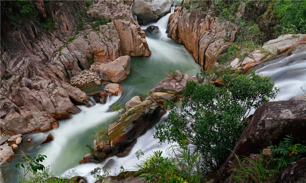 热带雨林风景区 