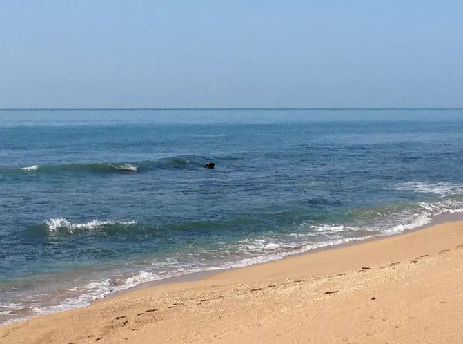 红塘湾海天一色