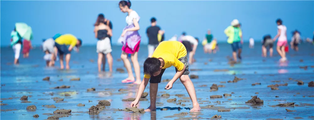 潭门赶海节