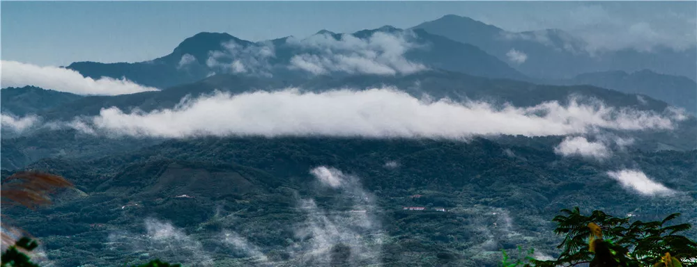 琼中黎母山国家森林公