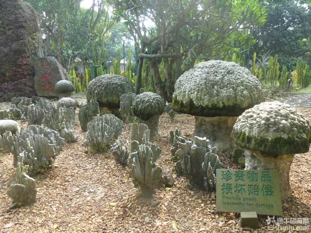 海口石山火山群国家地质公园