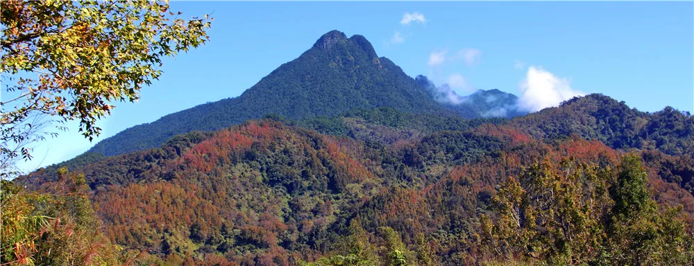 五指山热带雨林风景区