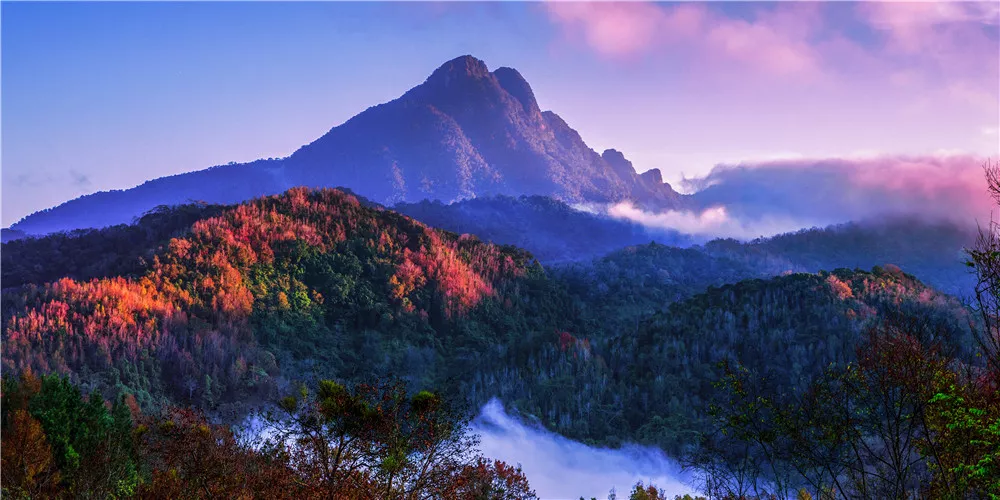 1526873541037023336.jpg 五指山-五指山山貌风光_副本.jpg