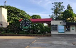 海南儋州热门景点之热作两院植物园