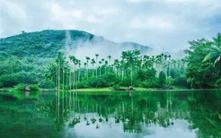 探秘“钻石级”热带雨林 -海南三亚呀诺达雨林文化旅游区