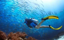 来海南四大潜水胜地吧，带你探索奇妙的海底世界！