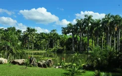 童话世界水上王国、东坡书院、热带植物园……带你两天玩儋州！