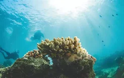 海南南分界洲岛自由潜水、水肺潜水、美人鱼潜水