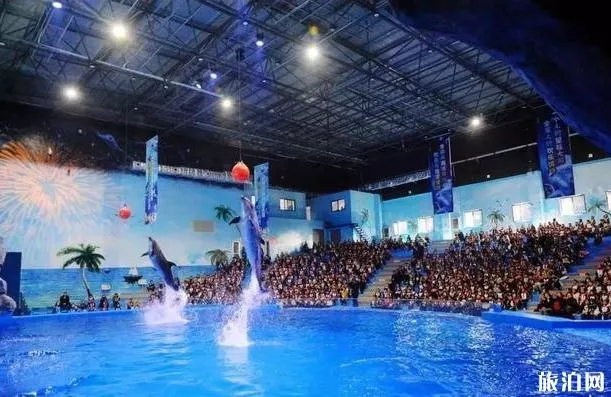 荆州景区对广东海南医护人员终生免费 荆州有哪些景点免费