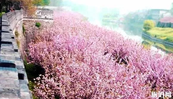 荆州景区对广东海南医护人员终生免费 荆州有哪些景点免费