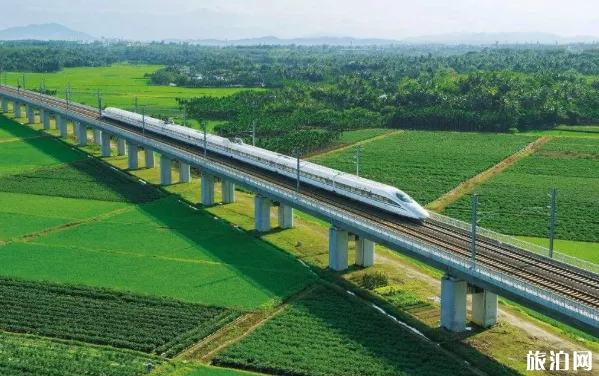 2月19日起海南部分列车停运