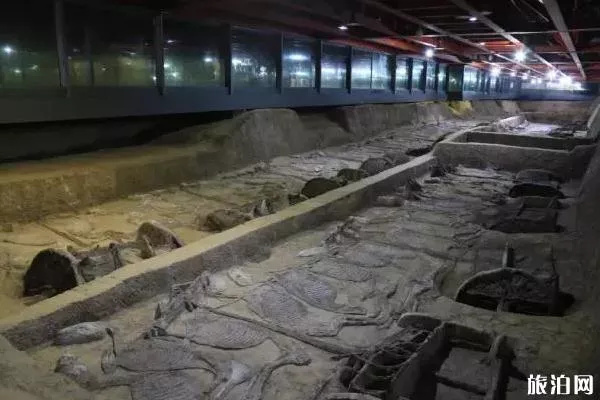 荆州景区对广东海南医护人员终生免费 荆州有哪些景点免费