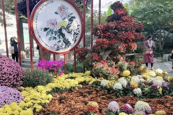 上海古典园林哪个风景好