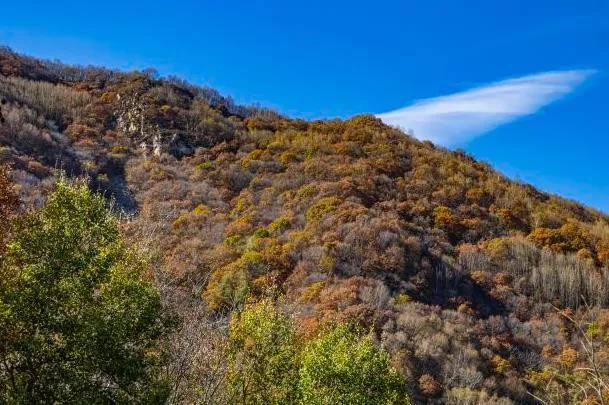 北京深秋去哪里玩比较好